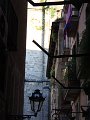 IMG_0761