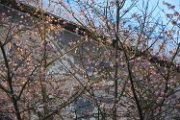 IMG_3419